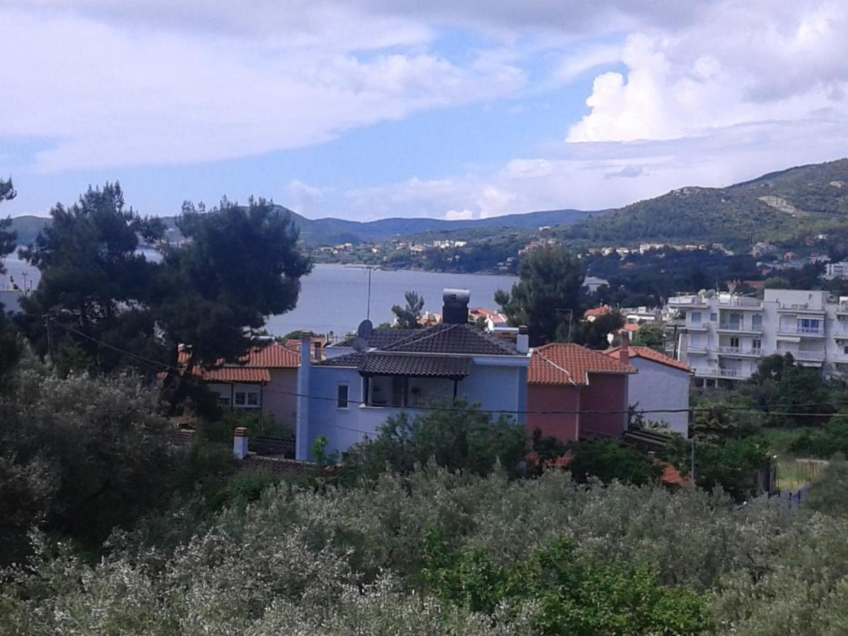 Helianthos Villa - Apartment No1 PalaiónTsiflíkion Exteriör bild